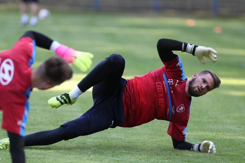 Football. Czech Republic. Training. 15.06.2017
