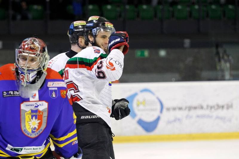 Ice Hockey. Polska Hokej Liga. GKS Tychy - Podhale Nowy Targ. 29.01.2016