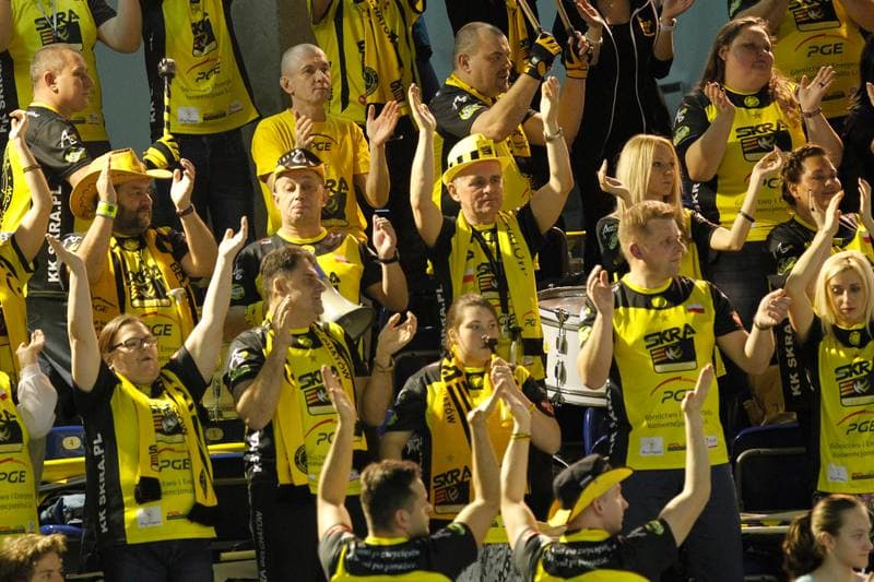 Volleyball. PlusLiga. MKS Bedzin - PGE Skra Belchatow. 29.01.2016