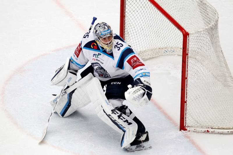 Ice Hockey. Tipsport Extraliga. Ocelari Trinec - Bili Tygri Liberec. 22.12.2017