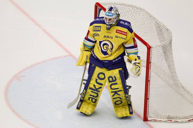 Ice Hockey. Tipsport Extraliga. Ocelari Trinec - Aukro Berani Zlin. 30.12.2017