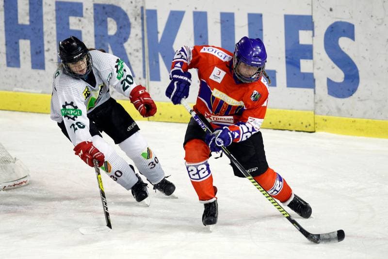 Ice Hockey. PLHK. Naprzod Janow - Polonia Bytom. 18.01.2018