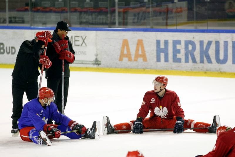 Ice Hockey. Poland national team. Training. 13.02.2018