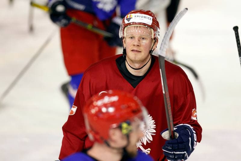 Ice Hockey. Poland national team. Training. 13.02.2018
