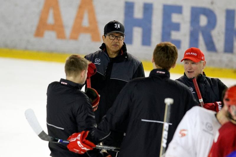 Ice Hockey. Poland national team. Training. 13.02.2018
