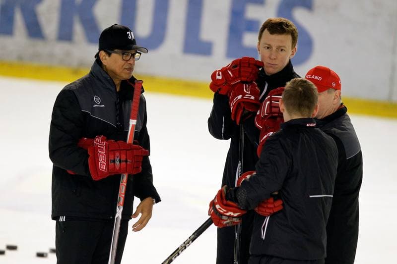 Ice Hockey. Poland national team. Training. 13.02.2018
