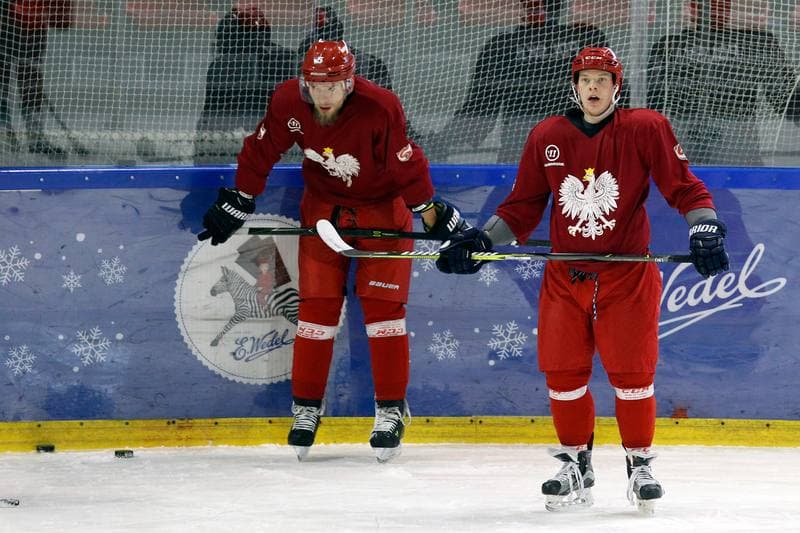 Ice Hockey. Poland national team. Training. 13.02.2018