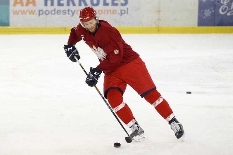 Ice Hockey. Poland national team. Training. 13.02.2018