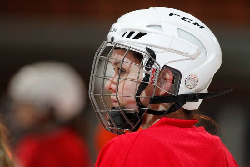 Ice Hockey. Poland national team. Training. 15.02.2018