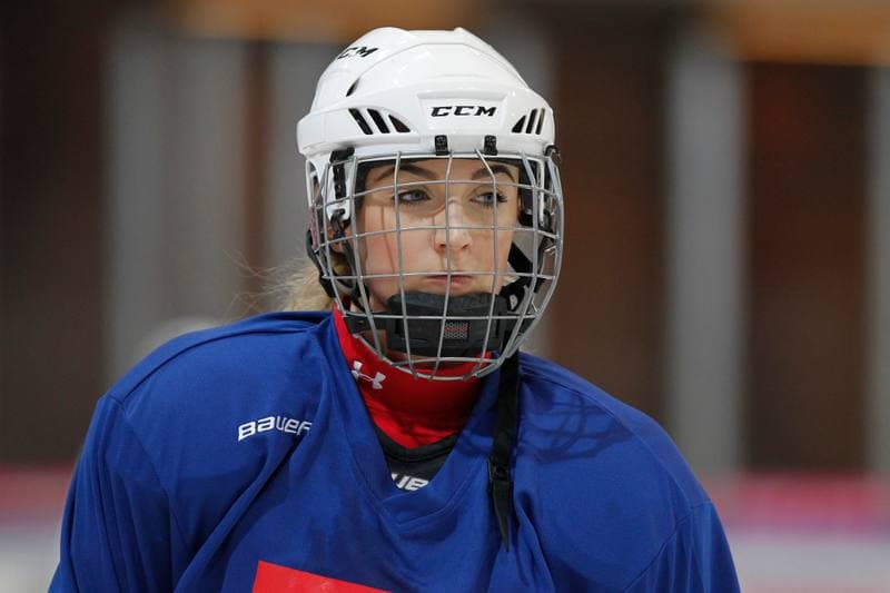 Ice Hockey. Poland national team. Training. 15.02.2018