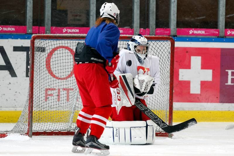 Ice Hockey. Poland national team. Training. 15.02.2018
