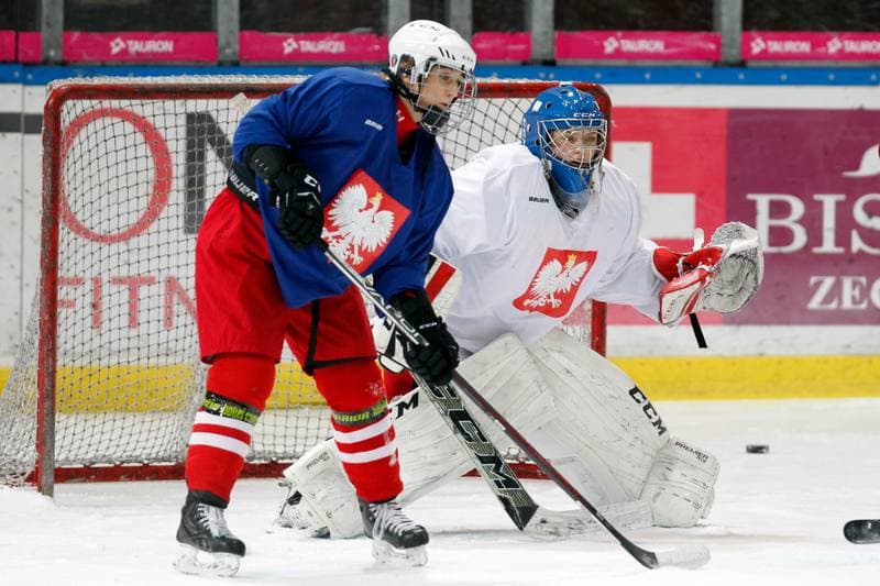 Ice Hockey. Poland national team. Training. 15.02.2018