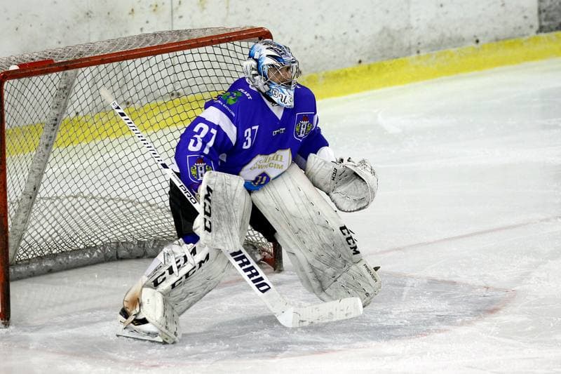 Ice Hockey. Polska Hokej Liga. Zaglebie Sosnowiec - Unia Oswiecim. 01.02.2019