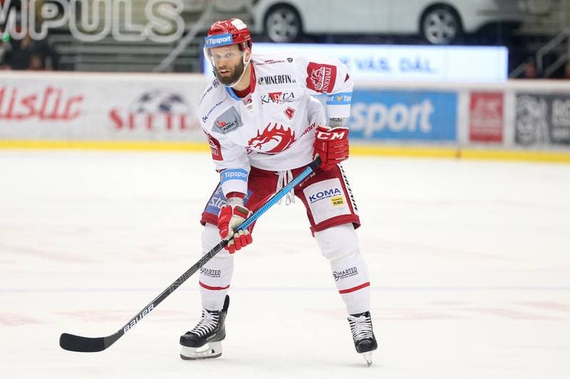 Ice Hockey. Tipsport Extraliga. Ocelari Trinec - Skoda Plzen. 15.04.2019