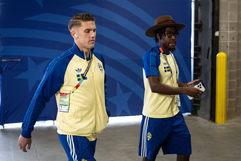 Football. FIFA World Cup. Netherlands - Sweden. 20.06.2026