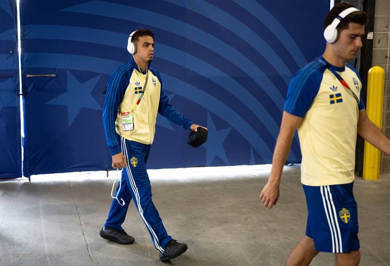 Football. FIFA World Cup. Netherlands - Sweden. 20.06.2026
