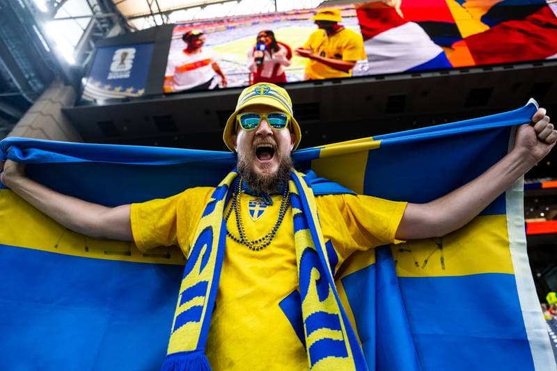 Football. FIFA World Cup. Netherlands - Sweden. 20.06.2026