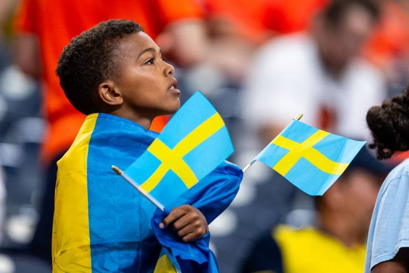 Football. FIFA World Cup. Netherlands - Sweden. 20.06.2026