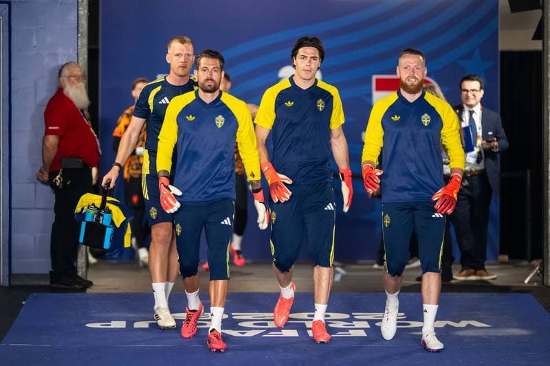 Football. FIFA World Cup. Netherlands - Sweden. 20.06.2026