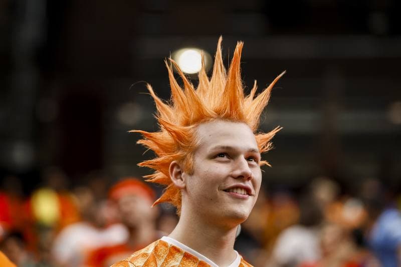 Football. FIFA World Cup. Netherlands - Sweden. 20.06.2026