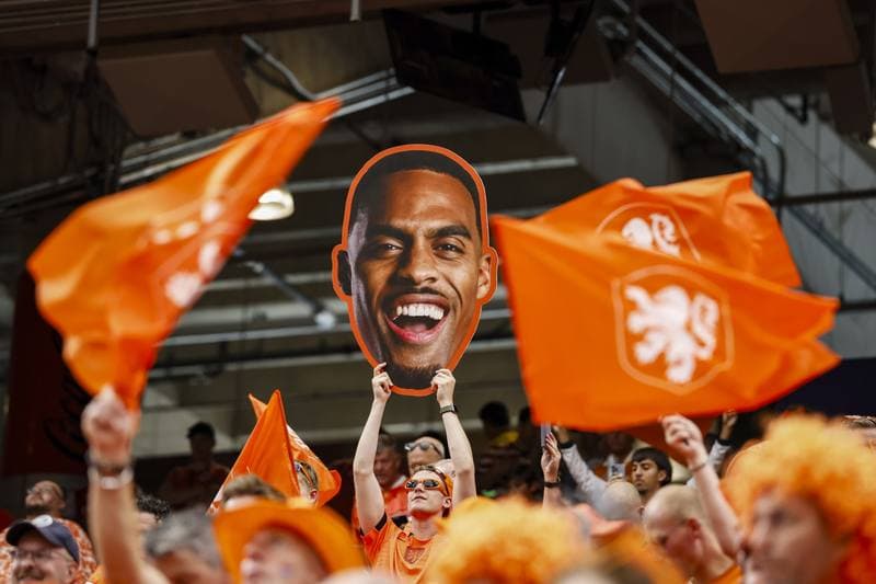 Football. FIFA World Cup. Netherlands - Sweden. 20.06.2026