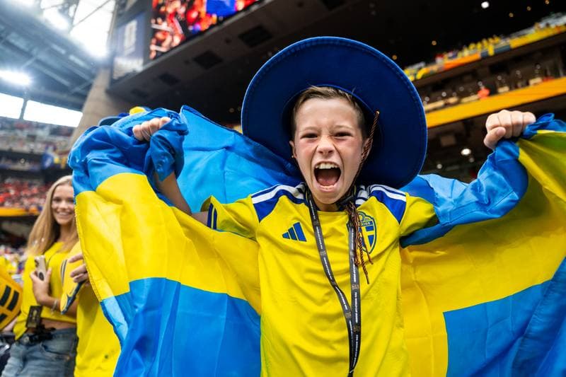 Football. FIFA World Cup. Netherlands - Sweden. 20.06.2026