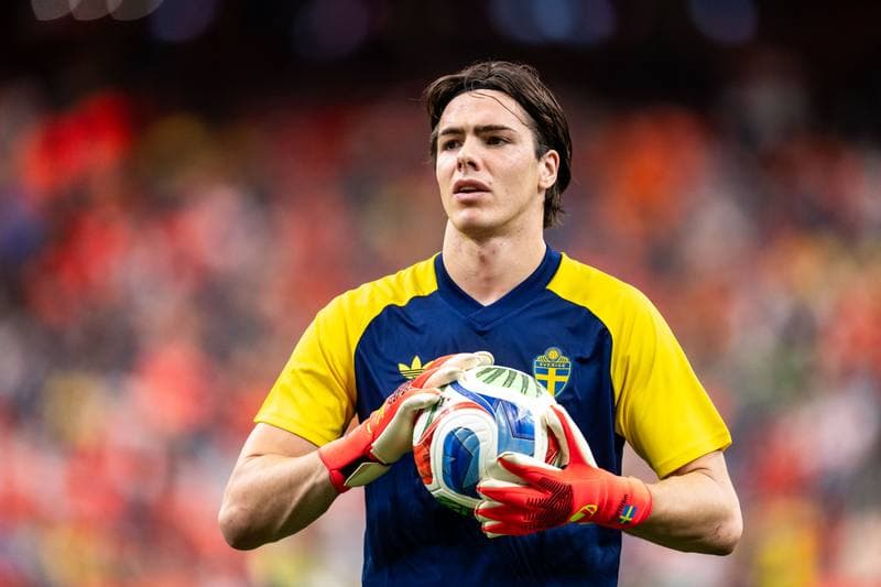Football. FIFA World Cup. Netherlands - Sweden. 20.06.2026