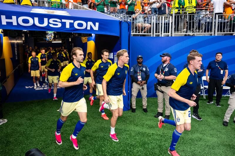 Football. FIFA World Cup. Netherlands - Sweden. 20.06.2026
