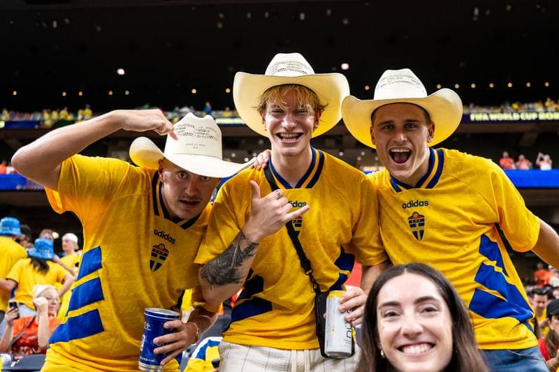 Football. FIFA World Cup. Netherlands - Sweden. 20.06.2026