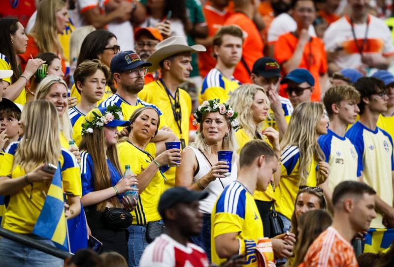 Football. FIFA World Cup. Netherlands - Sweden. 20.06.2026