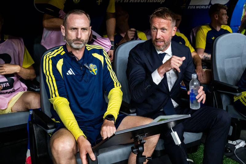 Football. FIFA World Cup. Netherlands - Sweden. 20.06.2026