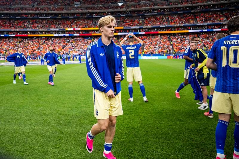 Football. FIFA World Cup. Netherlands - Sweden. 20.06.2026