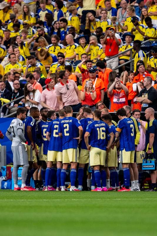 Football. FIFA World Cup. Netherlands - Sweden. 20.06.2026