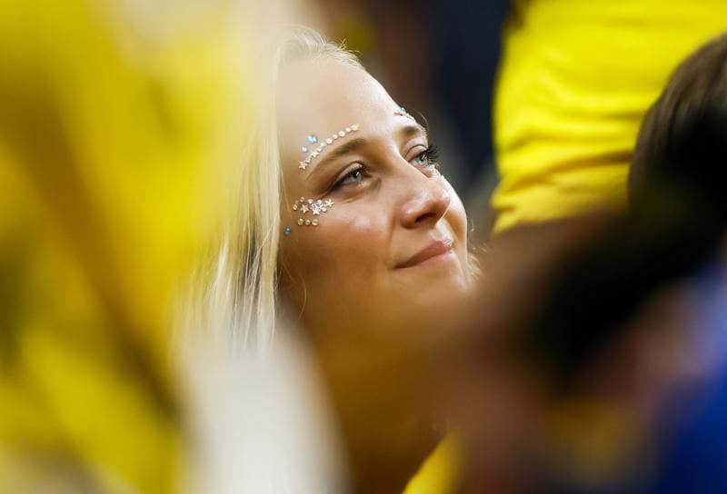 Football. FIFA World Cup. Netherlands - Sweden. 20.06.2026