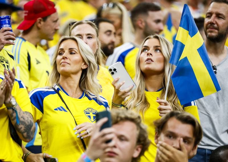 Football. FIFA World Cup. Netherlands - Sweden. 20.06.2026