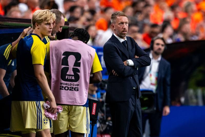 Football. FIFA World Cup. Netherlands - Sweden. 20.06.2026