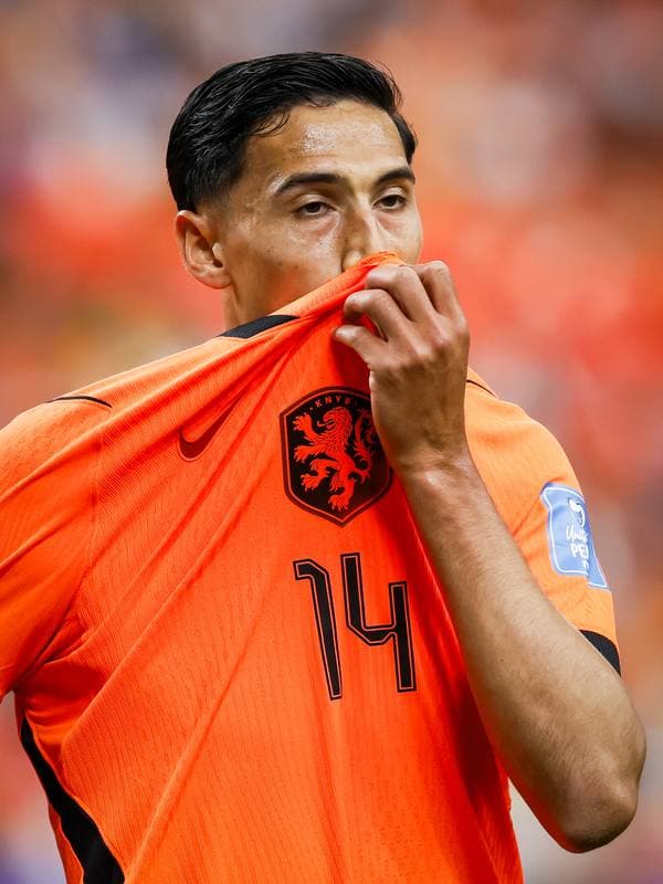 Football. FIFA World Cup. Netherlands - Sweden. 20.06.2026