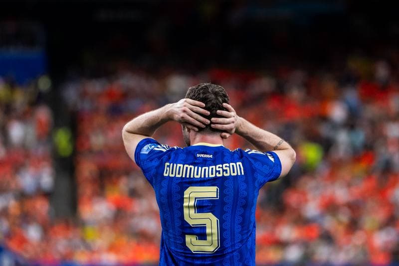 Football. FIFA World Cup. Netherlands - Sweden. 20.06.2026