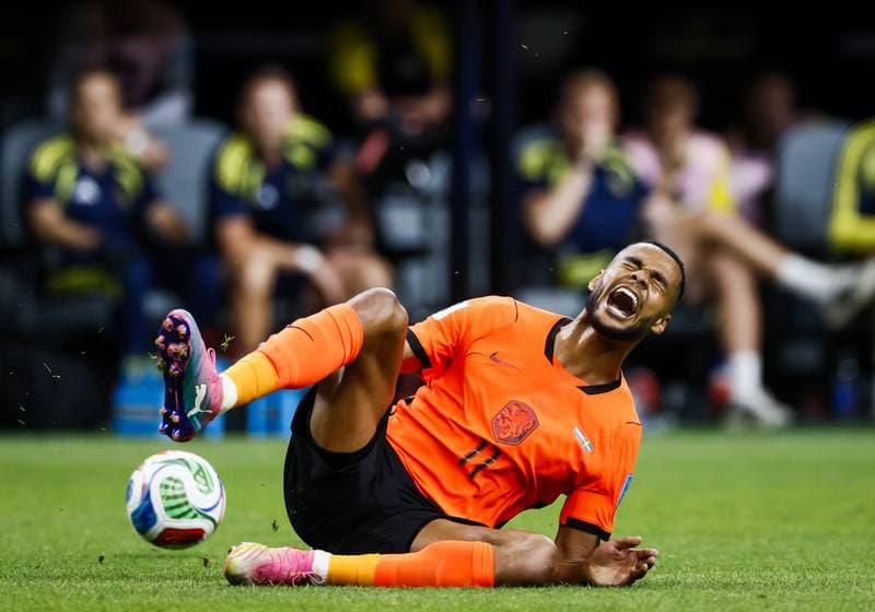 Football. FIFA World Cup. Netherlands - Sweden. 20.06.2026