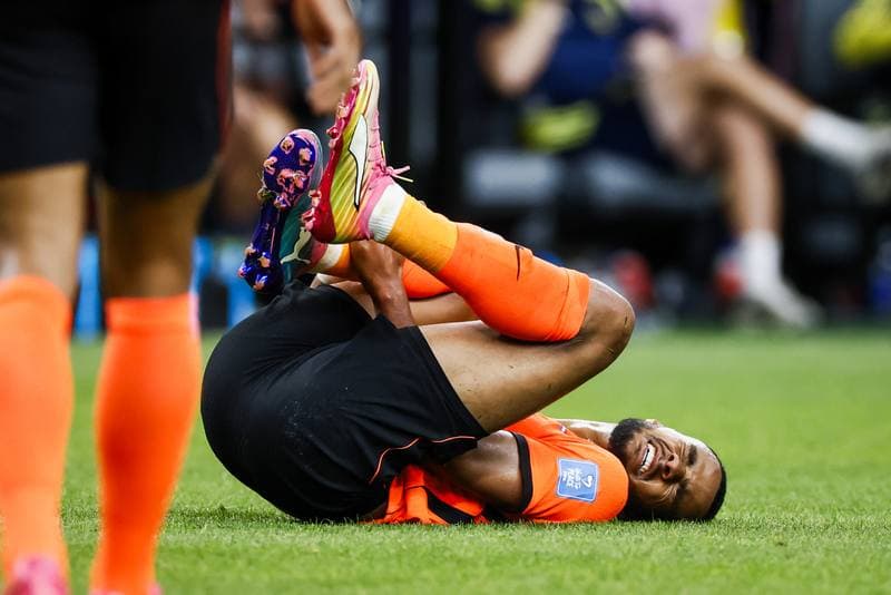 Football. FIFA World Cup. Netherlands - Sweden. 20.06.2026