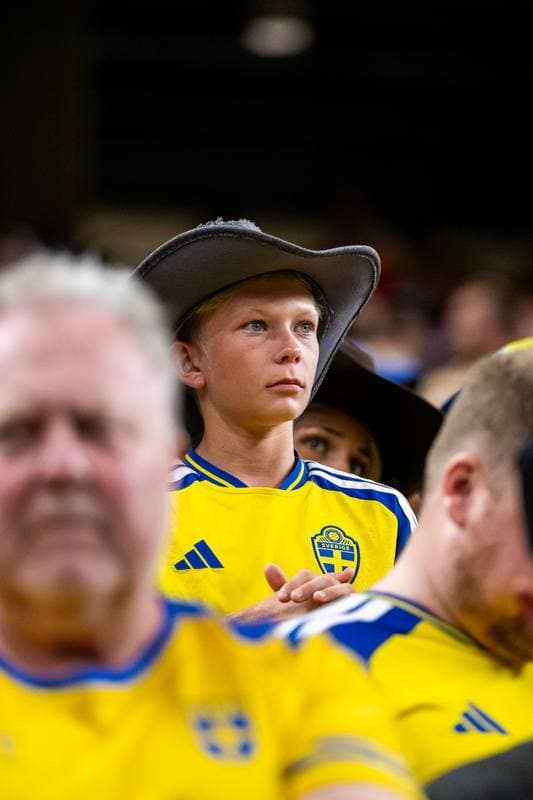 Football. FIFA World Cup. Netherlands - Sweden. 20.06.2026