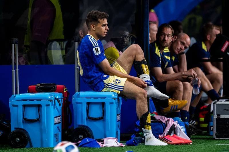 Football. FIFA World Cup. Netherlands - Sweden. 20.06.2026