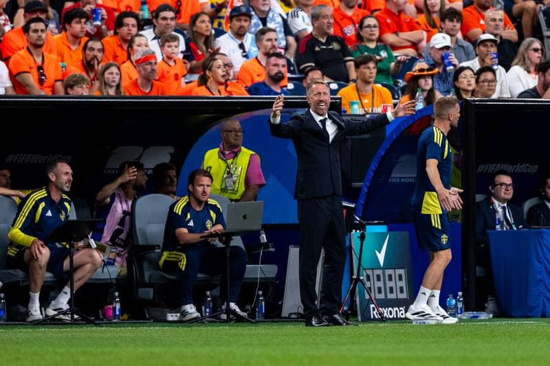 Football. FIFA World Cup. Netherlands - Sweden. 20.06.2026