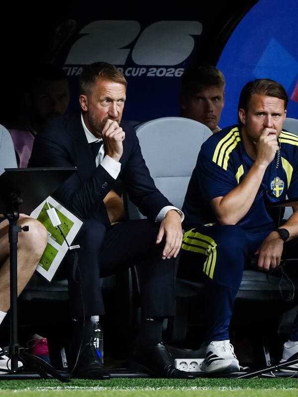 Football. FIFA World Cup. Netherlands - Sweden. 20.06.2026