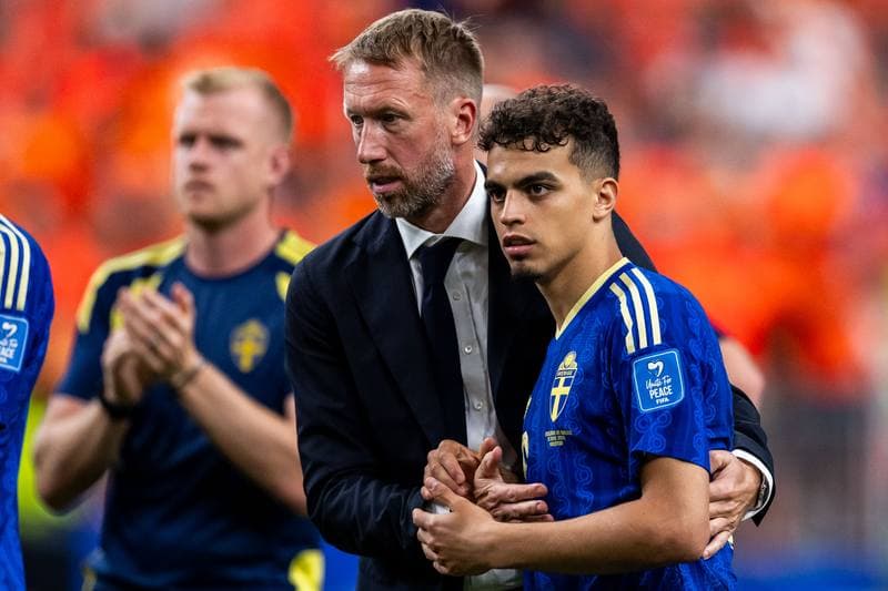 Football. FIFA World Cup. Netherlands - Sweden. 20.06.2026
