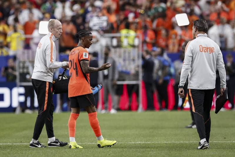Football. FIFA World Cup. Netherlands - Sweden. 20.06.2026