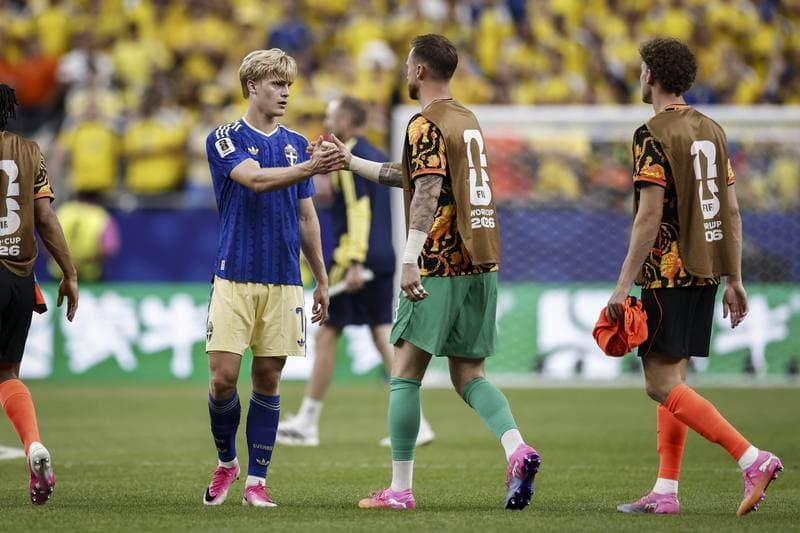 Football. FIFA World Cup. Netherlands - Sweden. 20.06.2026