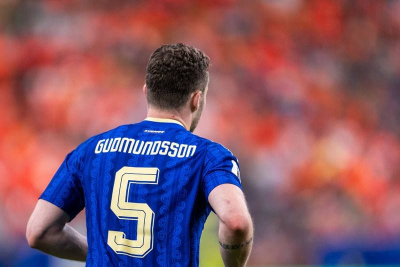 Football. FIFA World Cup. Netherlands - Sweden. 20.06.2026