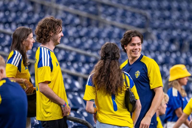 Football. FIFA World Cup. Netherlands - Sweden. 20.06.2026