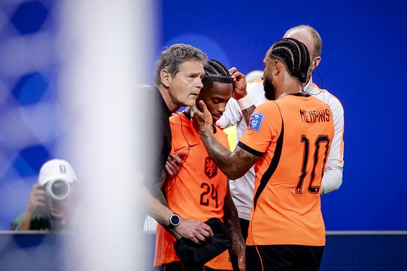 Football. FIFA World Cup. Netherlands - Sweden. 20.06.2026